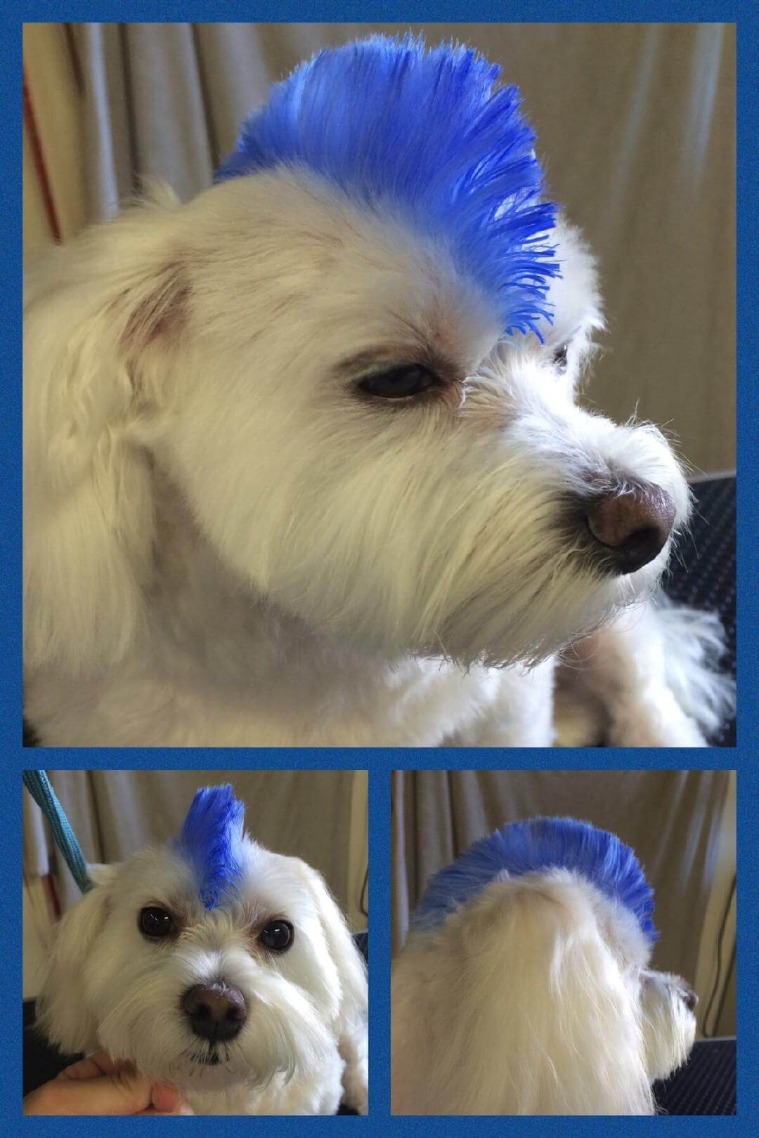 Mowhawk