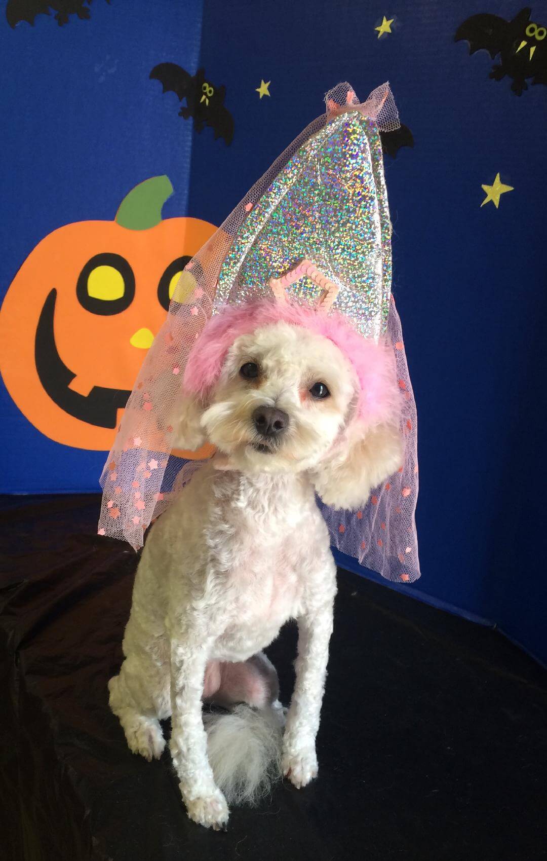 Princess
