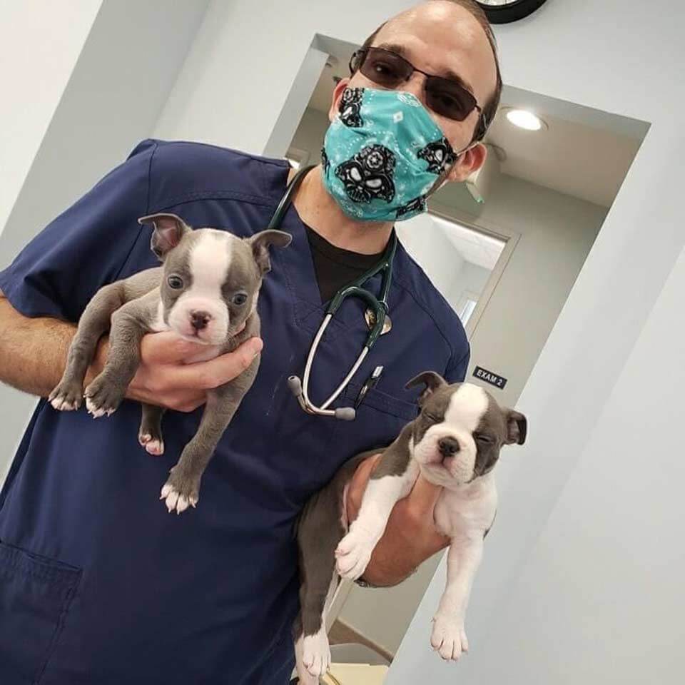 Orthopedic Veterinarian in Rancho Cucamonga