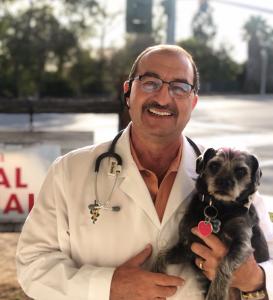 Orthopedic Veterinarian in Rancho Cucamonga